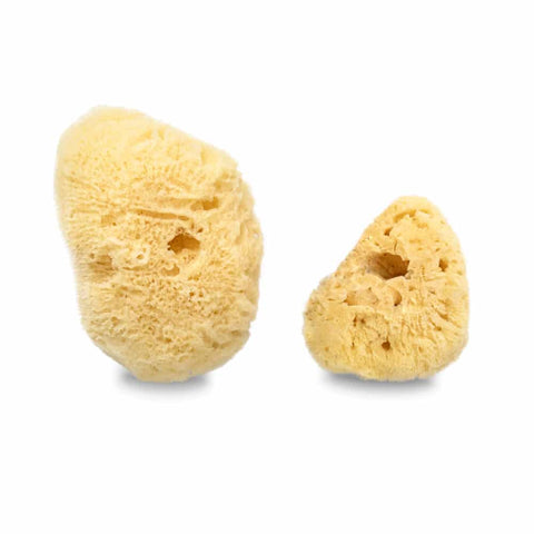 Facial Sea Sponge