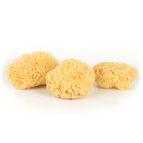 Facial Sea Sponge